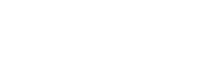 ACE COPD Calculator